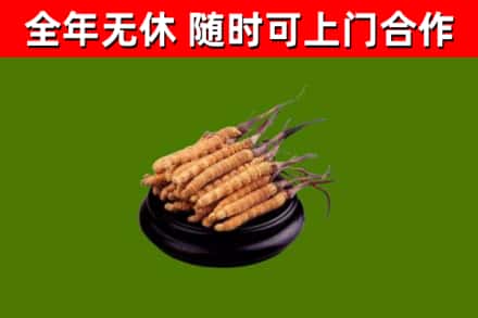 惠州市烟酒回收冬虫夏草.jpg