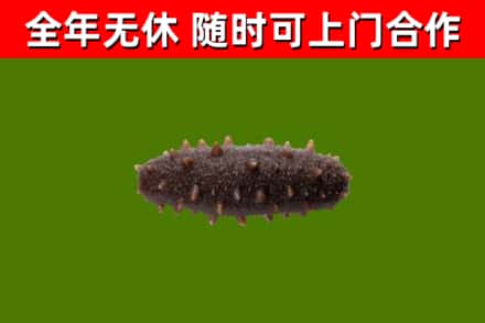惠州市烟酒回收干海参.jpg